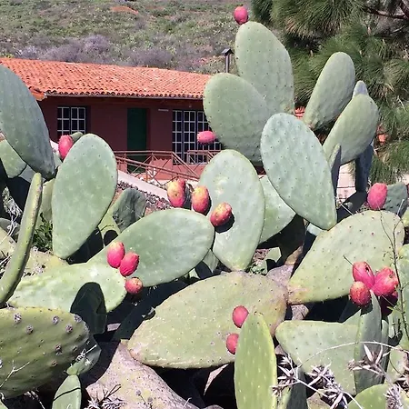 Ferienhaus El Cuarto De Aperos